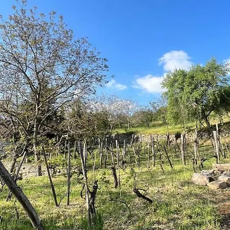 Csendar Balaton Nyaraló Hegymagas