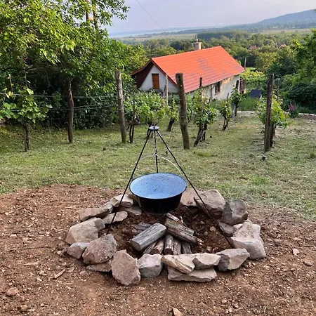 Semesterbostad Csendar Balaton